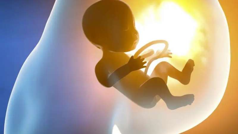 O que somos hoje começa no momento da nossa formação, na vida intrauterina Nesse milésimo de segundo já o começamos a ser e, a partir desse momento, qualquer ação vai moldar quem seremos no futuro.