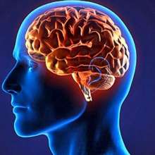 Filósofo membro da Mensa aponta características de pessoas com alto QI Filósofo membro da Mensa aponta características de pessoas com alto QI