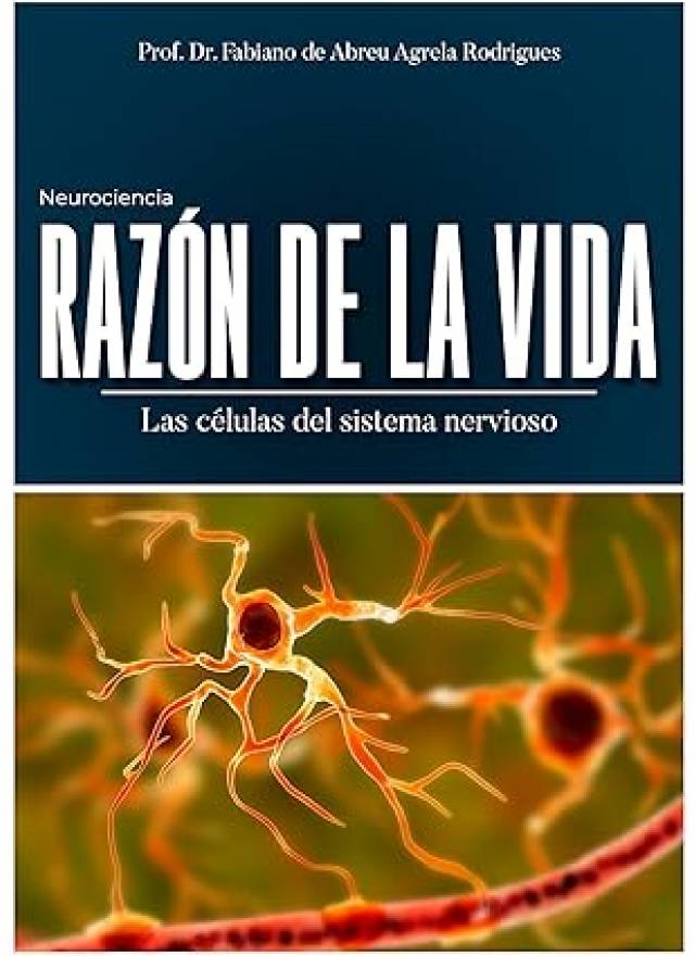 Neurociencia Prof Dr Fabiano A (Spanish Edition)