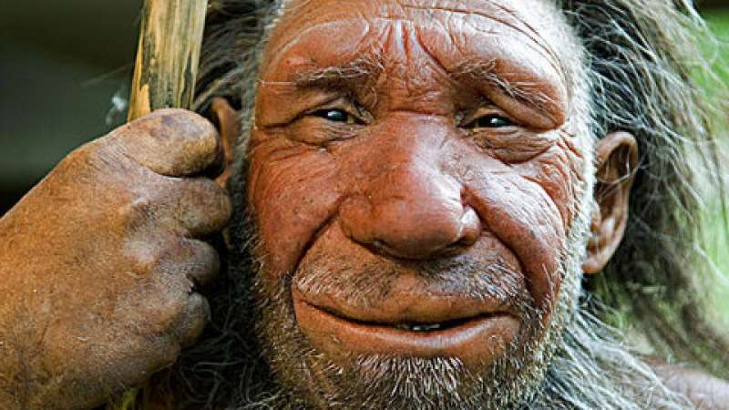 O que somos hoje é fruto do que fomos no passado Todos nós recebemos uma herança genética de uma memória primitiva que incentiva algumas de nossas atitudes hoje.
O ser humano é instintivo apesar de já ter passado por um intenso processo de