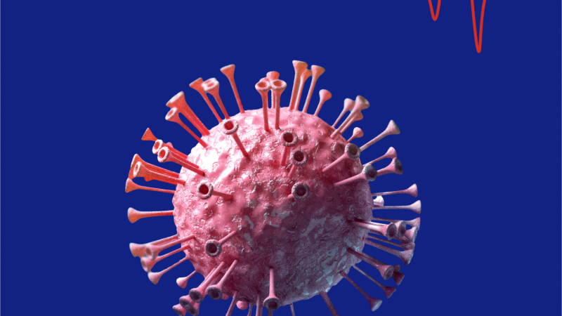 Neuropathology is the branch of neurology that studies diseases of the nervous system and their links with the entire physiology of the organism, including diseases of the nervous system and its reflexes. Neurological pathologies have high economic