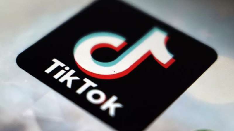 Neurocientista explica como o TikTok prejudica funções do seu cérebro Rede social é apontada como a responsável por prejudicar a capacidade de foco do cérebro