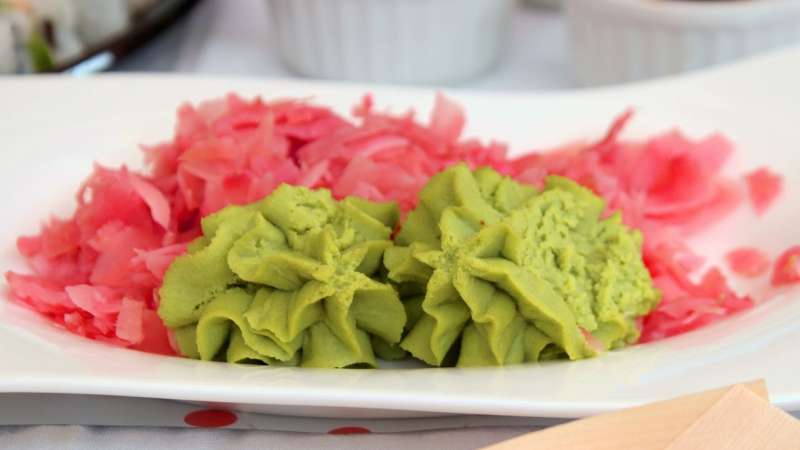 Wasabi: Tempero oriental pode ajudar a melhorar a memória O estudo é importante para chamar a atenção para a susbstância, mas mais análises ainda são necessárias, ressalta o Pós PhD em neurociências e membro da Royal Society of Biology no Reino Unido, Dr. Fabiano de Abreu Agrela
